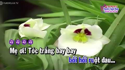 Karaoke vọng cổ XUÂN ĐỜI CON CÓ MẸ  - KÉP