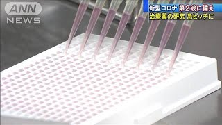 新型コロナ第2波に備え・・・急ピッチで治療薬研究進む(20/07/02)
