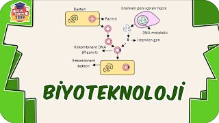 Biyoteknoloji Genetik Mühendisliği 8Sınıf Fen 