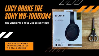 Disclaimer: my channel is unsponsored. and if you are here to make
yourself feel good about spending the money on a specific product,
might only get that...