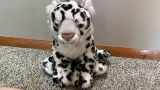 Miyoni Aurora Snow Leopard Plush Unboxing