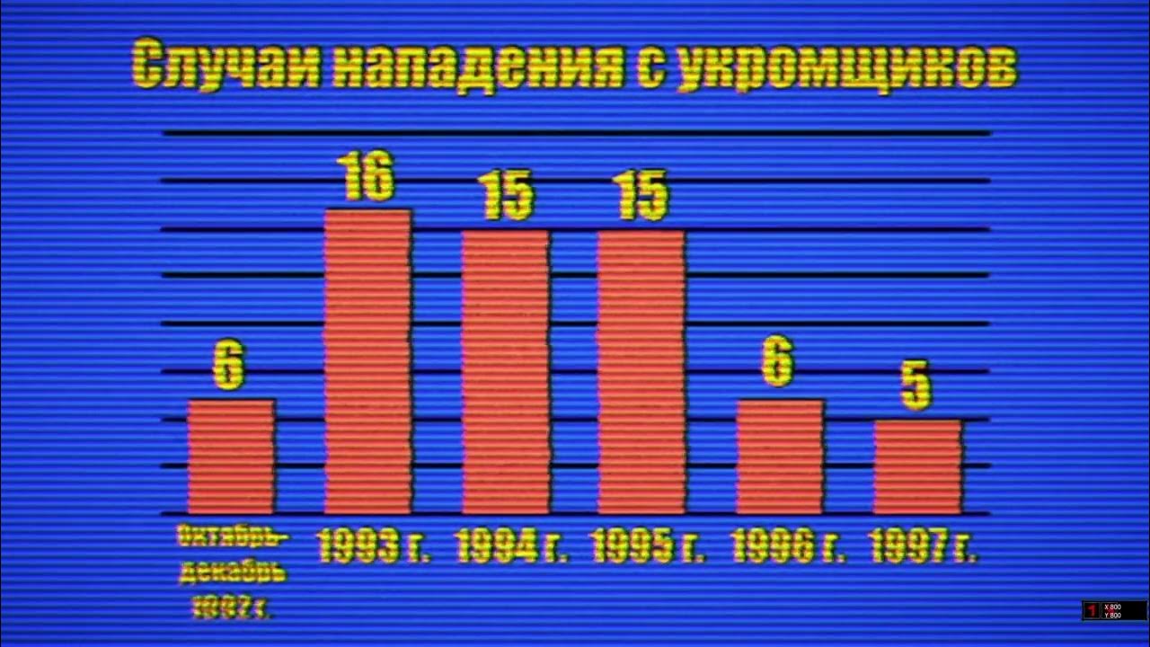 5 октября магнитошахтинск