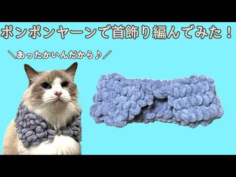 ねこ初心者様用☆ YouTube
