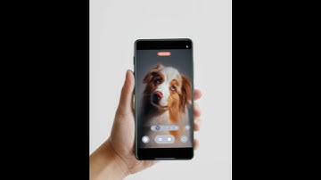 With the PinButton Case, you can capture those adorable moments instantly