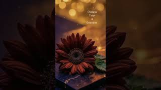 💥 REFLEXÃO 💥 VENHAM CONHECER O FANTÁSTICO MUNDO DOS TAROT &amp; ORÁCULOS 💥