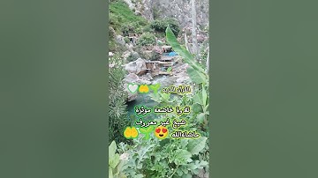 تلاوة خاشعة صلاه العشاء ماشاءالله تبارك الرحمن