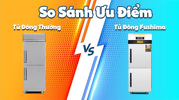 So Sánh Tủ Đông Công Nghiệp 2 Cánh Fushimavina Với Tủ Đông Hãng Khác