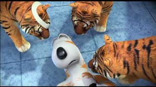 Bernard Bear | Backkom in Tigers And More | Cartoons for Kids Children