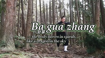 Jiang Style Bagua Zhang - Spiral like a Dragon in the Sky#八卦掌#baguazhang #kungfu