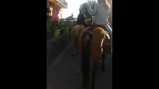 Passeggiata a cavallo