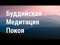 Медитация Покоя 🌷 Буддистская Медитация Покоя ✨ Михаил Гинзбург