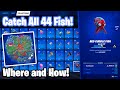 How to Catch Every Fish in Fortnite Season 6!