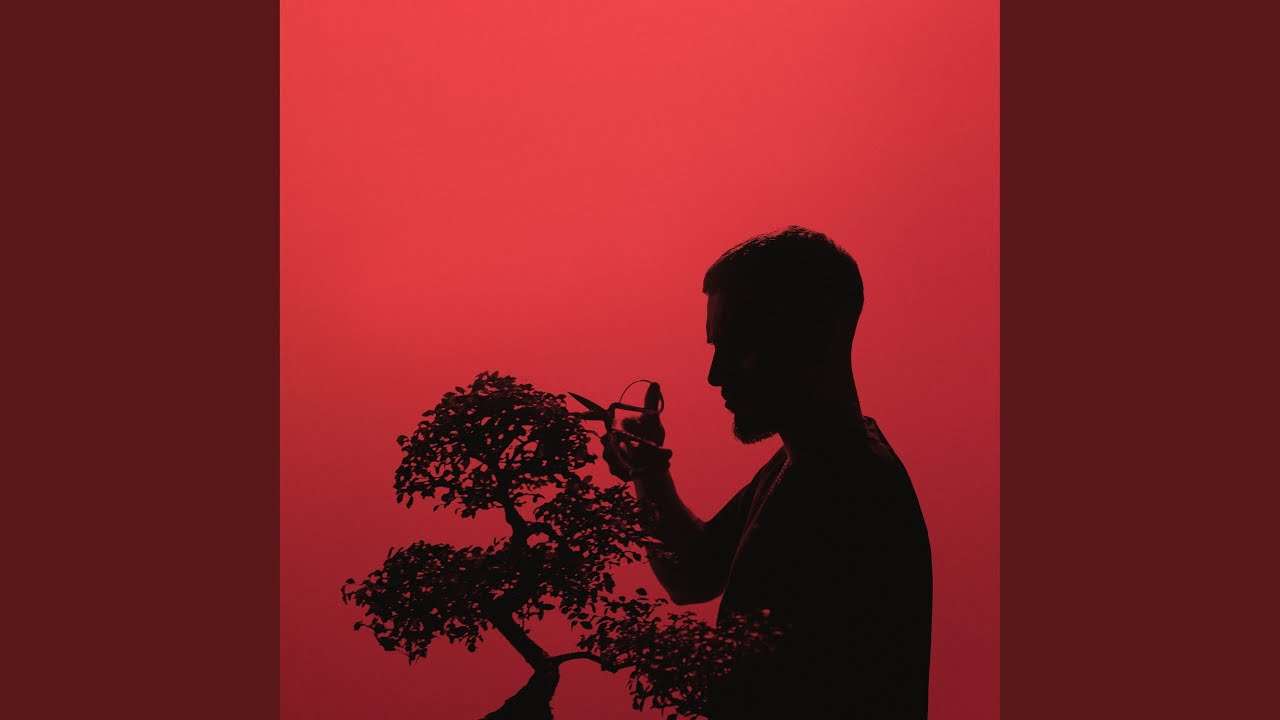 D1 bekijken op YouTube D1 bekijken op YouTube