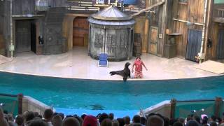 Sea World San Antonio Sea Lions Tonight  2011