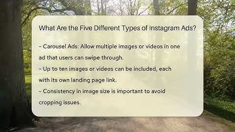 What Are the Five Different Types of Instagram Ads? - Everyday-Networking