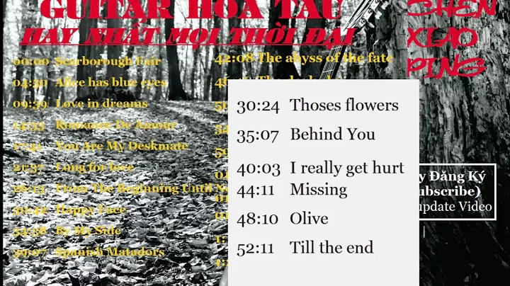 Nhng bn Guitar bt h - chen xiao ping - bhmusic