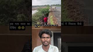 #cow #animals #nature #farming #gadgets #duet #viral #trending #innovation