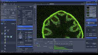 [EN] How to take image using Zen software part 3 #zeiss #microscope