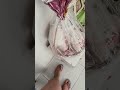 parte 1 e a verdadeira origem