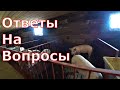 Ответы на вопросы / Как оформлен / Как сделать справку на мясо / Плюсы и минусы щелевого пола