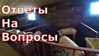 Ответы на вопросы / Как оформлен / Как сделать справку на мясо / Плюсы и минусы щелевого пола