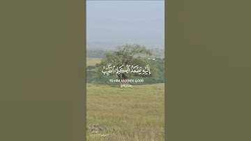 سورة فاطر - آية (١٠ ) - القارئ سعد الغامدي