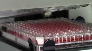 BioSorter Drop Dispensing