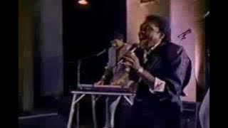 Commodores- Animal Instinct