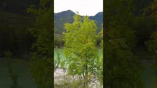 Едем к водопаду в Алтае Бельтертуюк #алтай