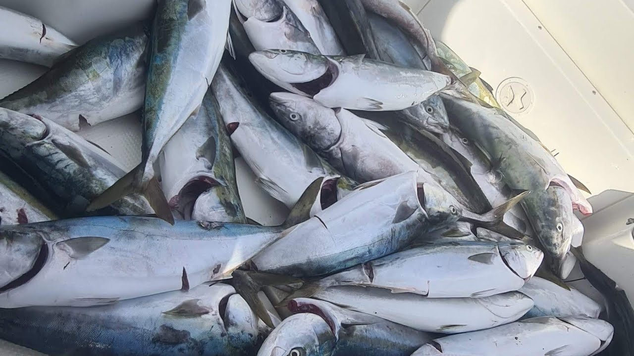 ЛАКЕДРА В КАСТИНГ! - YouTube