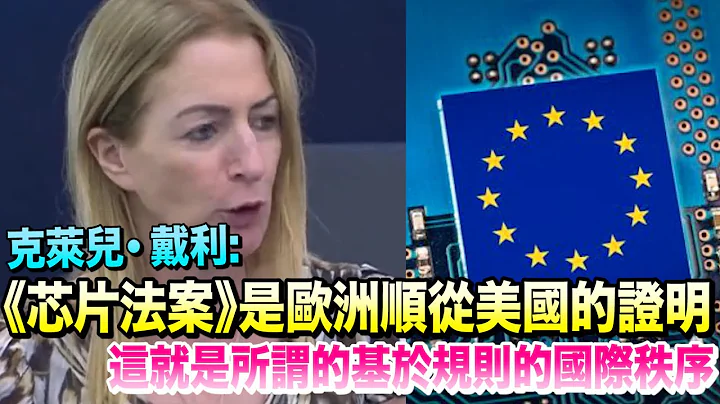 克萊兒・戴利：《芯片法案》是歐洲順從美國的又一證明 - 天天要聞