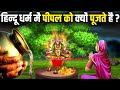 क्यों होती है पीपल और बरगद के पेड़ की पूजा? | Why is Peepal Tree worshipped in Hinduism?