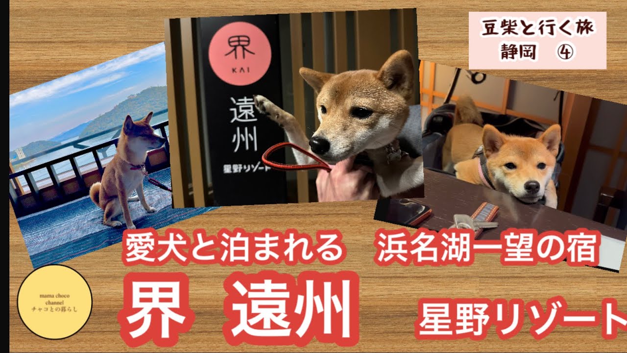 【愛犬と静岡旅④】界　遠州（星野リゾート）お茶の香りに包まれました。