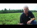 Identifying Late Blight Identifying Late Blight
