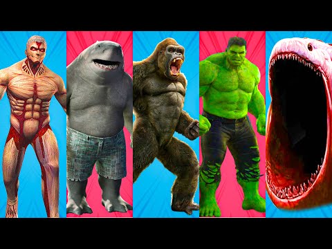 KING SHARK VS KING KONG VS HULK VS THE BLOOP VS ATTACK ON TITANS - In real life