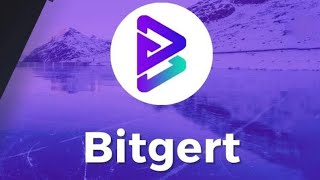 WHAT TO EXPECT AHEAD BITGERT (BRISE) COIN 1 SEPTEMBER ANNOUCEMENT