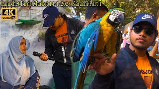 Lalukhet Exotic Birds Market Part 1 Karachi 14-1-2024 Latest Updates | أجمل سوق الطيور والببغاوات