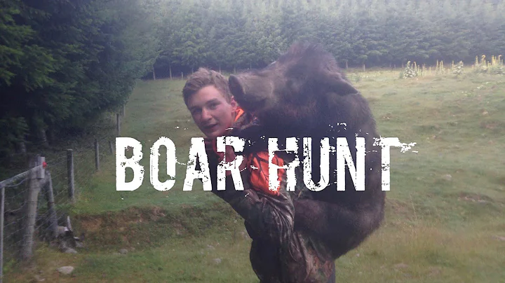 Pig Hunting With Dogs In New Zealand