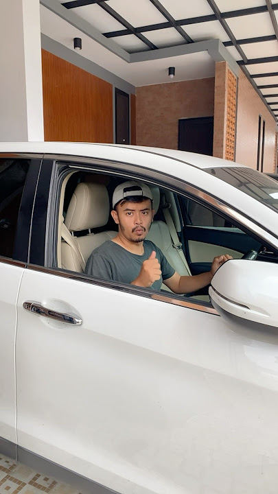 Basuri stecu stecu horn test in car