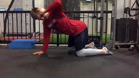 Band Assisted Quadruped Extension Rotation