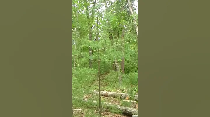 Taking down a hanger part 2