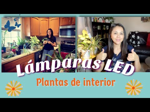 Vídeo: Como Instalar Luz Sobre Plantas De Interior