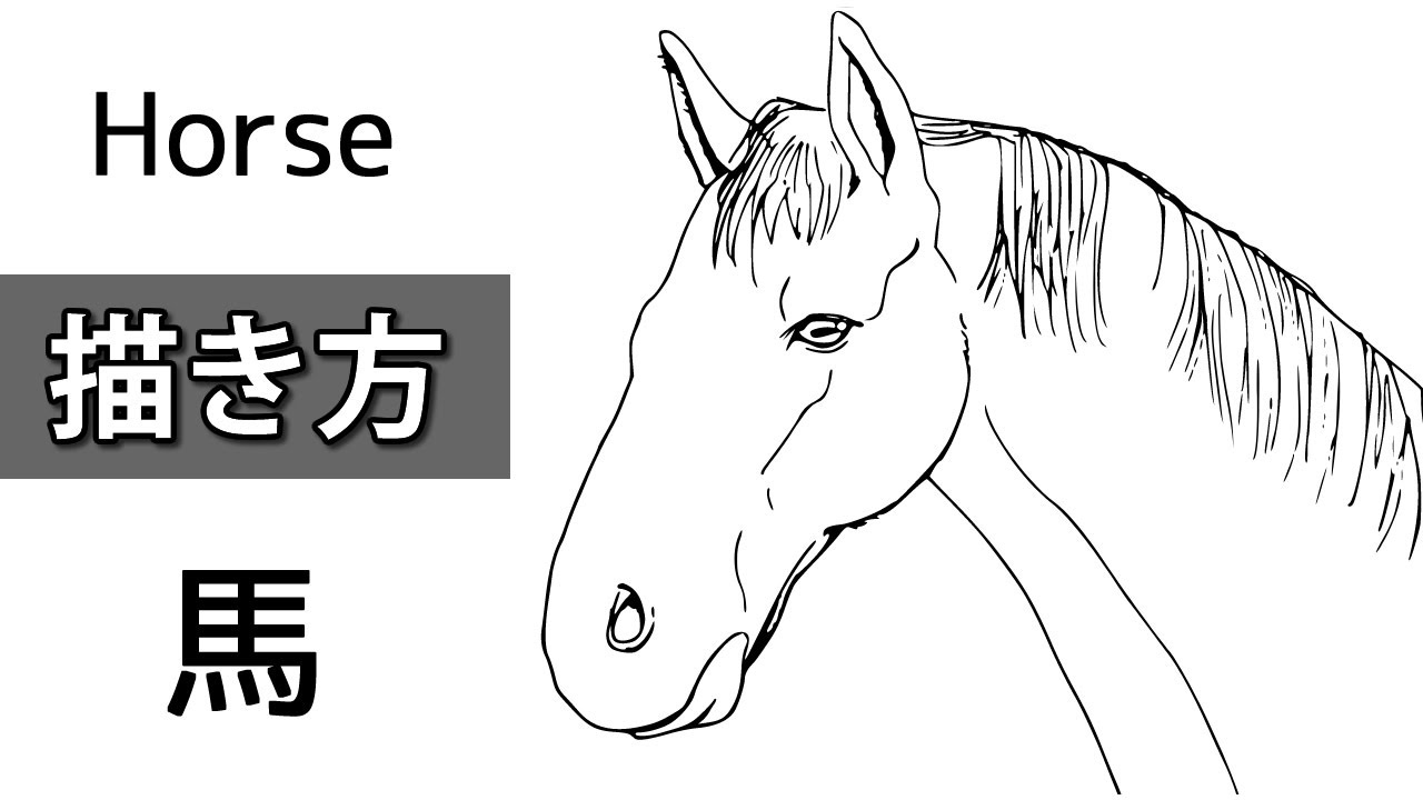 馬の描き方 さらっと簡単にリアル馬の顔を描く How To Draw A Horse Youtube