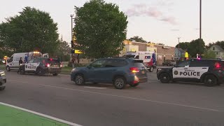 Buffalo Police Respond To Large Fight On Niagara Street