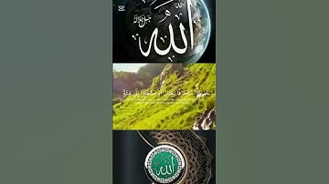 تلاوه خاشعه من سوره الانفال الايه 15 من صوت الشيخ ياسر الدوسري#🌹🥀🥺🤲