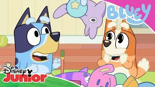 Loving Family Moments | 🐶 Bluey | Disney Junior Africa