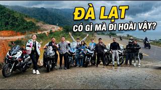 🇻🇳 Phượt Hè cùng Zontes 368G | ĐÀ LẠT có gì vui mà đi hoài vậy ?! | Cinematic Mototravel Vlog