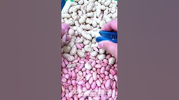 Easy Peanut Shelling with This Clever Tool