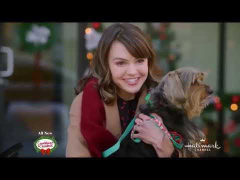 Vidéo: Fortune d'Aimee Teegarden