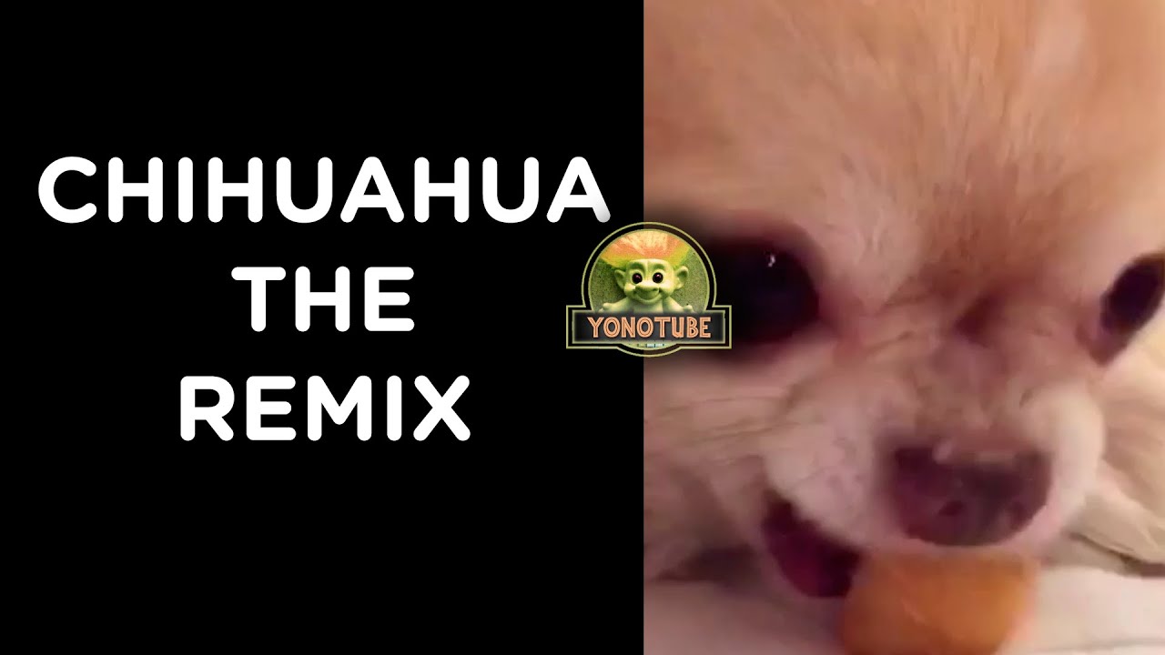 CHIHUAHUA REMIX YouTube